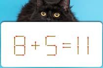スキマ時間にマッチ棒クイズ♪「8＋5＝11」マッチを1本動かして正しくしましょう【毎日脳トレ】