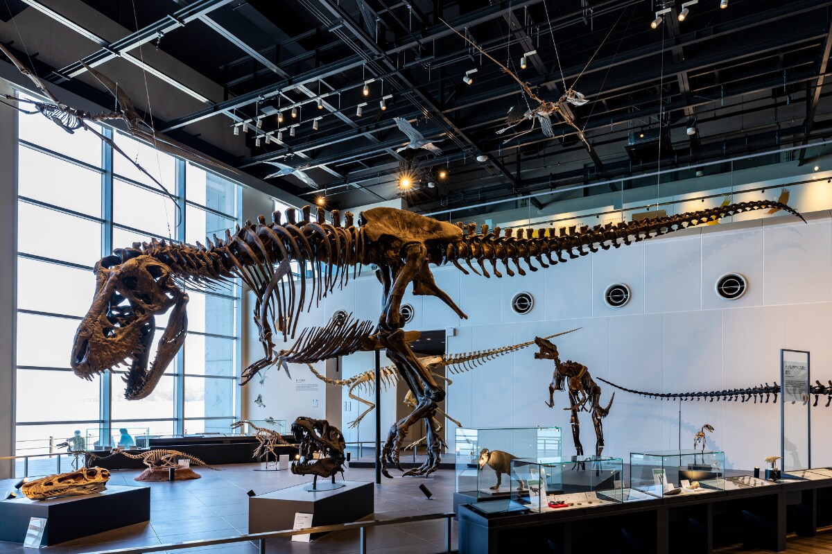 「博物館」を日本に広めたあの有名人とは誰？【5月18日は国際博物館の日】