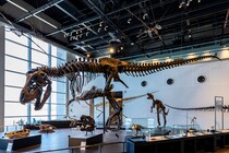 「博物館」を日本に広めたあの有名人とは誰？【5月18日は国際博物館の日】