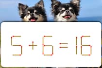挑戦！マッチ1本を動かして「5+6=16」を正しくできる？【毎日脳トレ】【クイズ】
