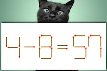 【マッチ棒パズル】正しい式にできるかな？「4－8=57」【毎日脳トレ】