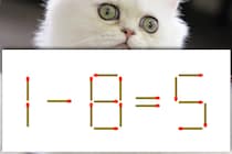 【マッチ棒パズル】この式どこが変？「1－8＝5」【毎日脳トレ】