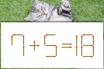 【マッチ棒パズル】すばやく解ける？「7＋5=18」【毎日脳トレ】