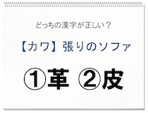 【毎日脳トレ】「革」と「皮」で正しい漢字はどっち!?