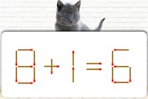 マッチ1本で解決！「8＋1＝6」を正しい式にできる？【毎日脳トレ】【クイズ】