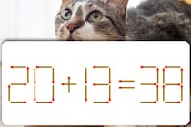 動かせるのはマッチ棒1本！「20+13=38」を正しくしよう【毎日脳トレ】【クイズ】