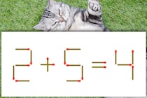 【マッチ棒パズル】脳トレ！「2+5=4」正しい式にできるかな？【毎日脳トレ】