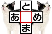 共通する文字は何だ!?クロスワードで脳トレ！【毎日脳トレ】【クイズ】