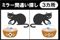 間違い探しに挑戦！3カ所の違いはどこ？【毎日脳トレ】【クイズ】