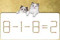 これが解けたら天才かも？「8-1-8=2」マッチ棒クイズに挑戦！【毎日脳トレ】【クイズ】