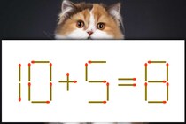 【マッチ棒パズル】1本だけ動かして正しい式に！「10＋5＝8」【毎日脳トレ】