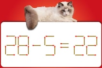 【マッチ棒パズル】ちょこっと脳トレ！マッチ棒1本動かして「28－5＝22」を正しくするには？【毎日脳トレ】