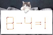 どこがおかしいか分かるかな？「8-4=1」マッチ棒クイズで脳トレ！【毎日脳トレ】【クイズ】