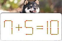 空き時間に挑戦！「7＋5＝10」マッチ1本だけ動かして正しくしましょう【毎日脳トレ】【クイズ】