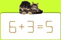 マッチ棒クイズに挑戦！「6＋3＝5」式を正しくするために、動かせる本数は1本のみ【毎日脳トレ】【クイズ】
