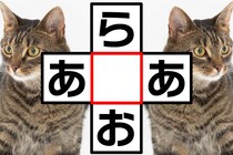 ひらめいたら天才！「ら○お」「あ○あ」クロスワードで脳トレに挑戦♪【毎日脳トレ】【クイズ】