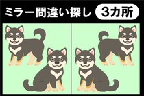 間違い探しで脳トレに挑戦！3カ所の違いはどこ？【毎日脳トレ】【クイズ】
