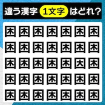 何秒で見つけられるかな？漢字間違い探しに挑戦しよう！【毎日脳トレ】【クイズ】