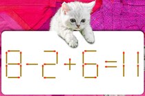 どこがおかしいかな？「8-2+6=11」マッチ棒クイズ初級編！【毎日脳トレ】【クイズ】