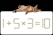 【マッチ棒パズル】1本だけ動かそう！「1＋5×3=10」この問題何秒で解ける？【毎日脳トレ】