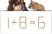 マッチ棒クイズ！「1+8=6」この問題10秒で解ける？【毎日脳トレ】