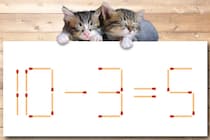 制限時間は10秒！「10-3=5」マッチ棒クイズで脳トレに挑戦！【毎日脳トレ】【クイズ】