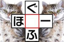 みんな大好きクロスワード♪脳トレでスッキリ！【毎日脳トレ】【クイズ】