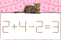 どこがおかしい？「2+4-2=3」マッチ棒クイズに挑戦！【毎日脳トレ】【クイズ】