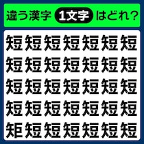 制限時間1秒！直感で当てられたら天才♪漢字間違い探し！【毎日脳トレ】