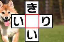 1文字埋めて♪「き○い」「い○り」ひらがなクロスワードクイズ！【毎日脳トレ】【クイズ】