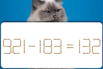【マッチ棒パズル】1本だけ動かして「921－183＝132」を正しくできる？【毎日脳トレ】