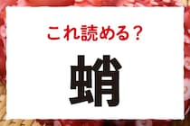 【毎日脳トレ】この生き物な～んだ？「蛸」