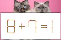 【マッチ棒パズル】スキマ時間にスッキリ「8＋7＝1」10秒で解いてみて【毎日脳トレ】