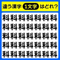 間違い探し！分類や区分を表す言葉です♪「科」10秒で違う漢字1文字を見つけて！【毎日脳トレ】