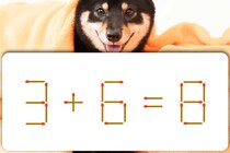 マッチ棒クイズ！「3+6=8」正しい式にしてみよう【毎日脳トレ】【クイズ】