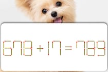 【マッチ棒パズル】頭をやわらか～く！マッチを1本動かして正しい式にしましょう【毎日脳トレ】