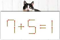 マッチ棒クイズ初級編！「7+5=1」どこを動かす？【毎日脳トレ】【クイズ】