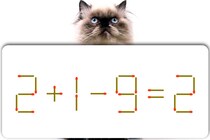 【マッチ棒パズル】解けたら天才かも!?「2＋1－9=2」脳トレに挑戦！【毎日脳トレ】