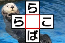 スキマ時間に挑戦！「ら○ぱ」「ら○こ」3文字クロスワード♪【毎日脳トレ】【クイズ】
