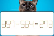 【マッチ棒パズル】制限時間は5秒！「857－564＝273」正しい式にできる？【毎日脳トレ】