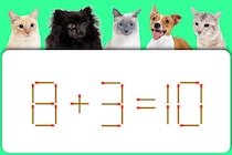 マッチ棒を1本動かして「8＋3＝10」の式を完成させよう【毎日脳トレ】【クイズ】