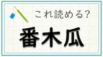 【毎日脳トレ】難読漢字に挑戦！〔番木瓜〕は何と読む？