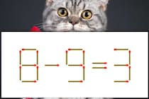 【マッチ棒パズル】正しい式にしよう！「8－9＝3」【毎日脳トレ】