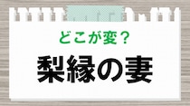 【毎日脳トレ】「梨縁の妻」　間違っているのはどこ？