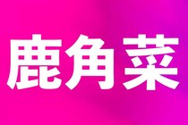 「え？誰でも食べたことある黒い物!?」この漢字の読みはな～に？【毎日脳トレ】【クイズ】