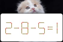 【マッチ棒パズル】「2－8－5=1」正しい式にできるかな？【毎日脳トレ】