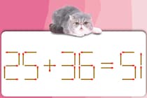 プチ脳トレ！マッチ棒1本動かし「25＋36＝51」を正しくするには？【毎日脳トレ】【クイズ】