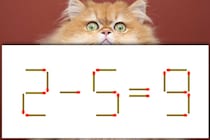 【マッチ棒パズル】何秒で解ける？「2－5＝9」制限時間は20秒！【毎日脳トレ】