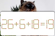 【マッチ棒パズル】これわかる？「26＋6＋18＝19」正しい式にしましょう【毎日脳トレ】