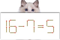 【マッチ棒パズル】正しい式にしよう！「16－7=5」【毎日脳トレ】